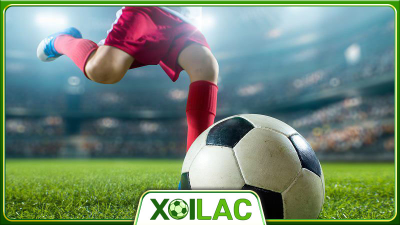 Xoilactv.skin - Chia sẻ niềm vui của bóng đá đến mọi người